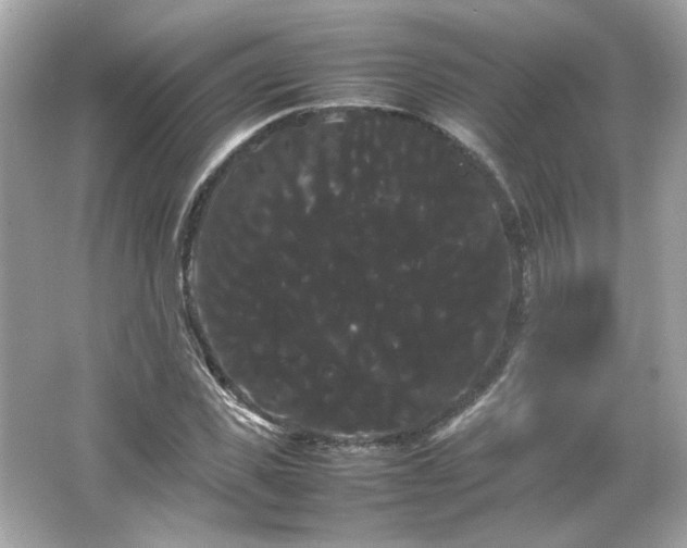 X0000066500925200603201319