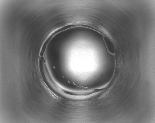 X0000066500932200603201319