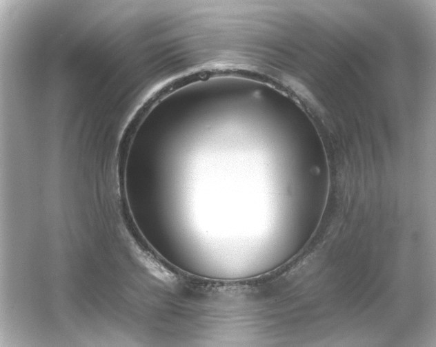 X0000066500934200603201319