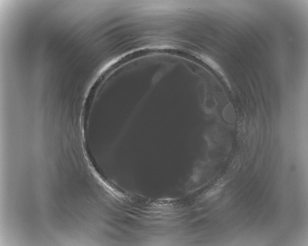 X0000066500935200603201319