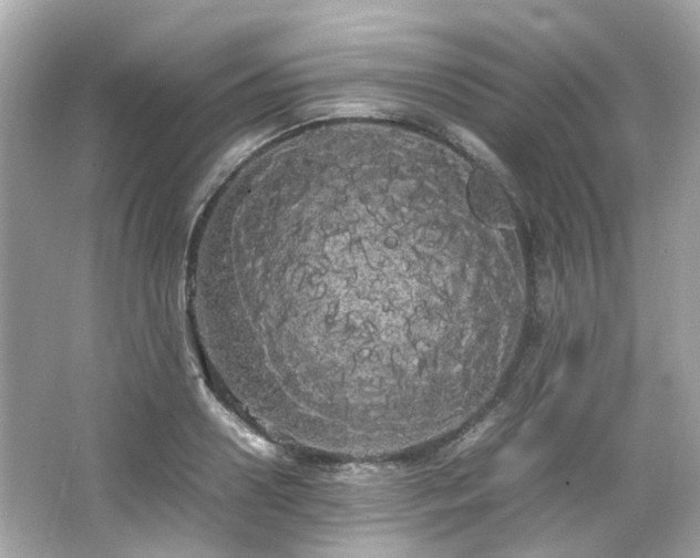 X0000066500938200603201319