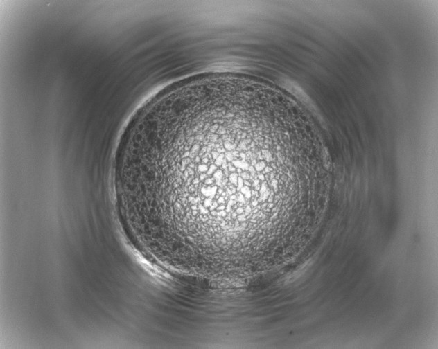X0000066500939200603201319