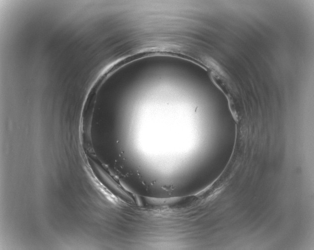 X0000066500940200603201319