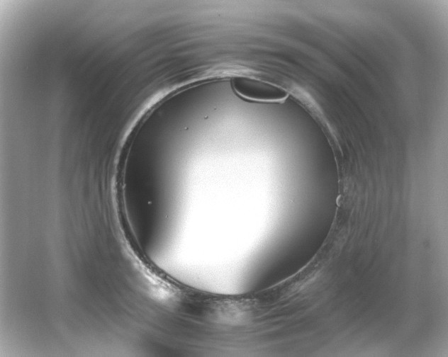 X0000066500947200603201319
