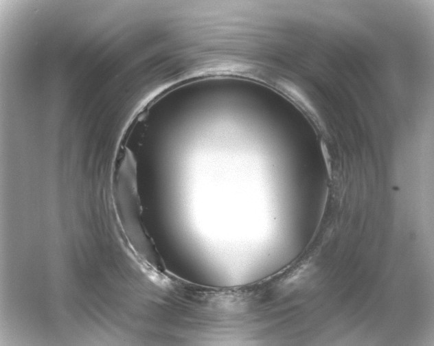 X0000066500948200603201319