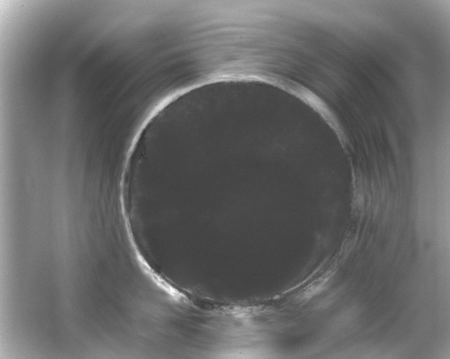 X0000066500958200603201320