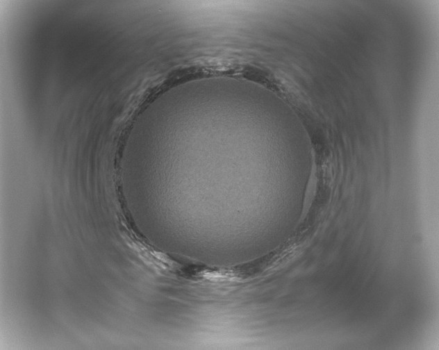 X0000066500961200603201319