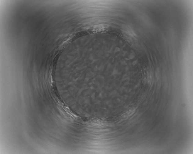X0000066500962200603201319