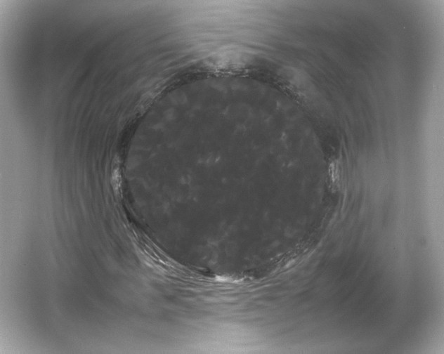 X0000066500963200603201319