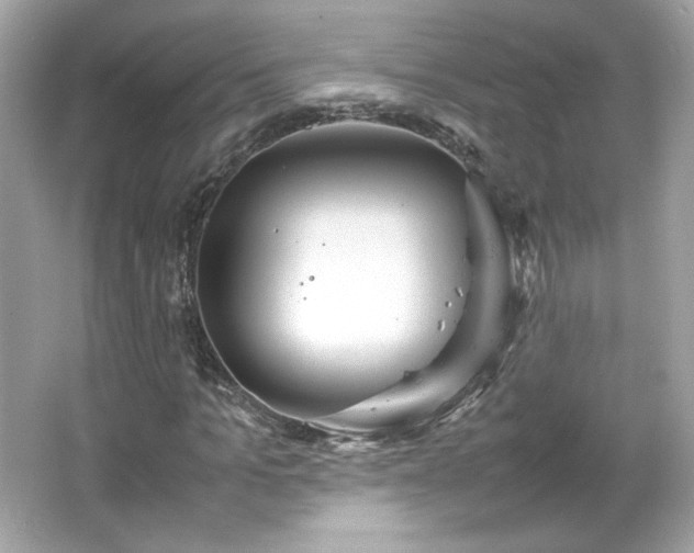 X0000066500965200603201319