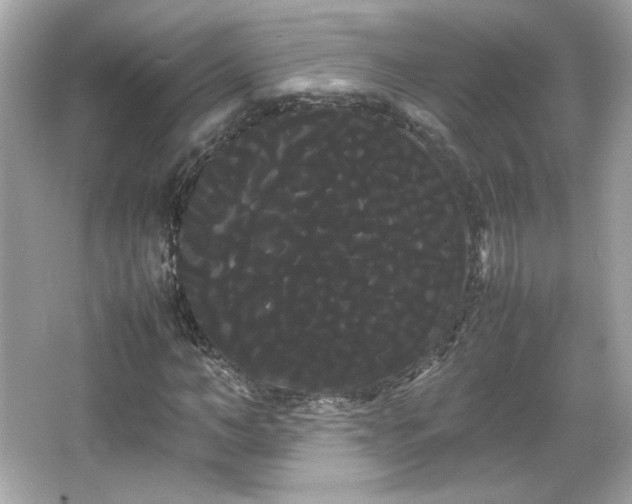 X0000066500966200603201319