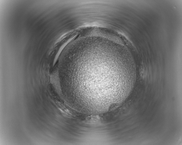 X0000066500968200603201319
