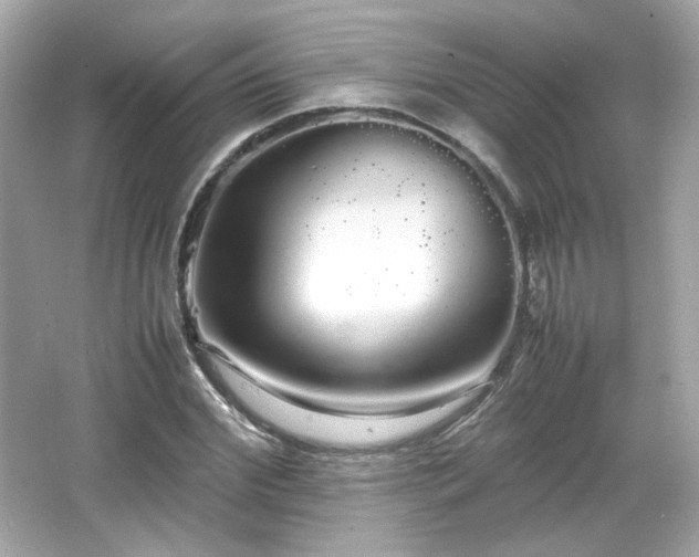 X0000066500972200603201319