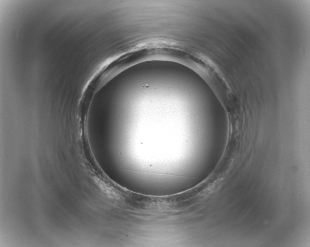 X0000066500973200603201319