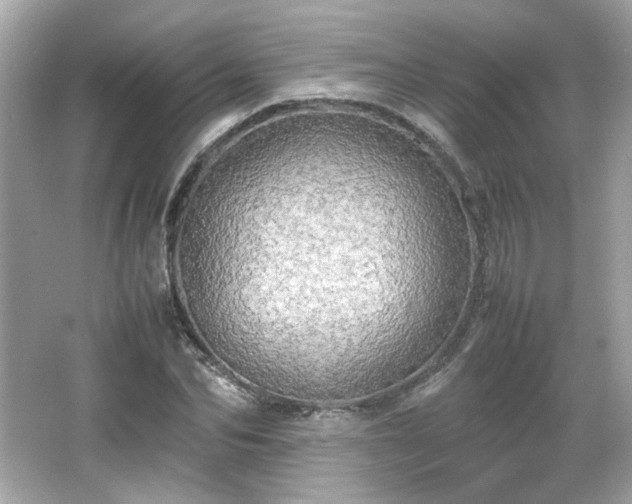 X0000066500974200603201319