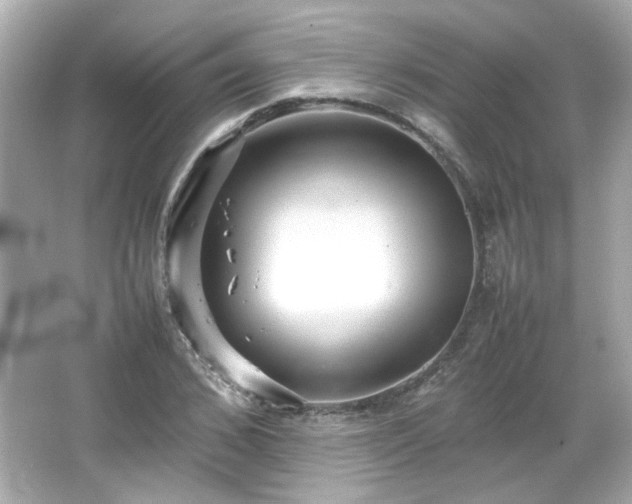 X0000066500976200603201319