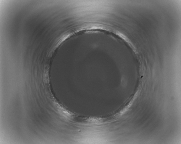 X0000066500977200603201319