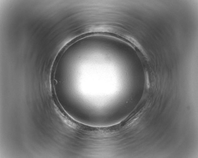X0000066500980200603201318