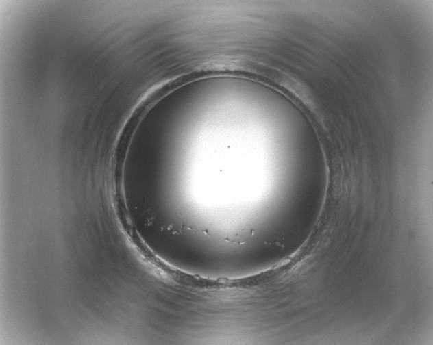 X0000066500984200603201318