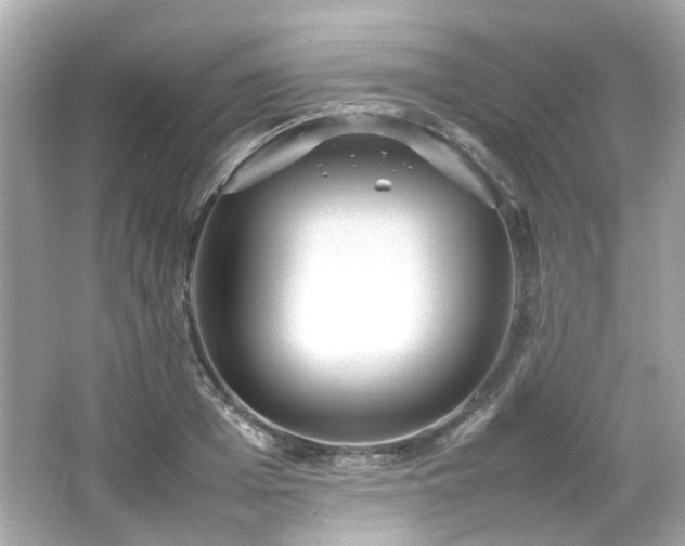 X0000066500985200603201318