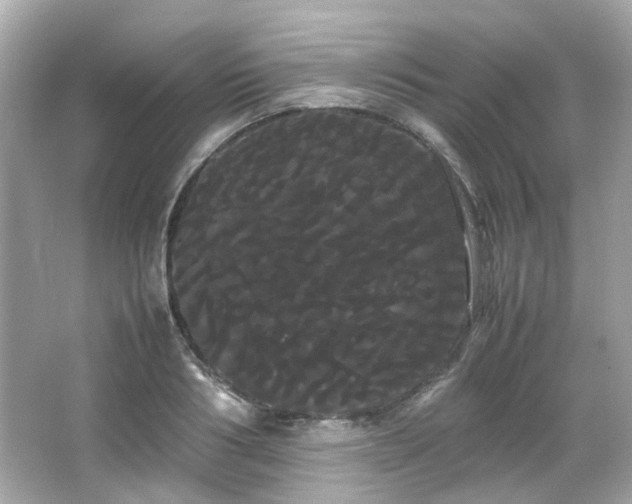 X0000066500986200603201318