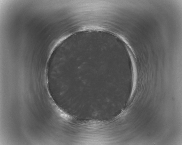 X0000066500987200603201318