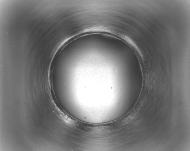 X0000066500988200603201318