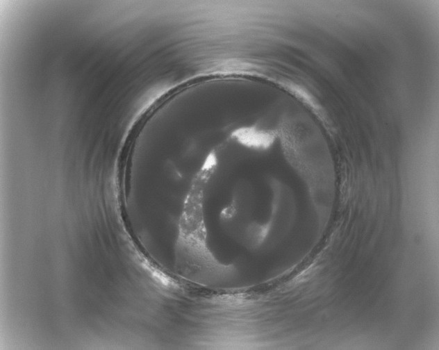 X0000066500990200603201318