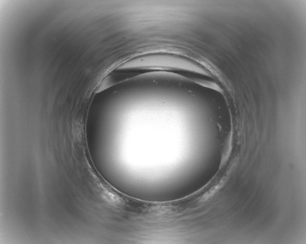 X0000066500993200603201318