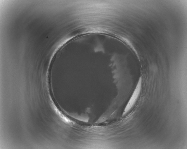 X0000066500995200603201318