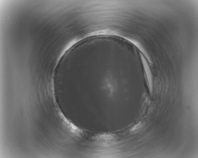 X0000066500998200603201318