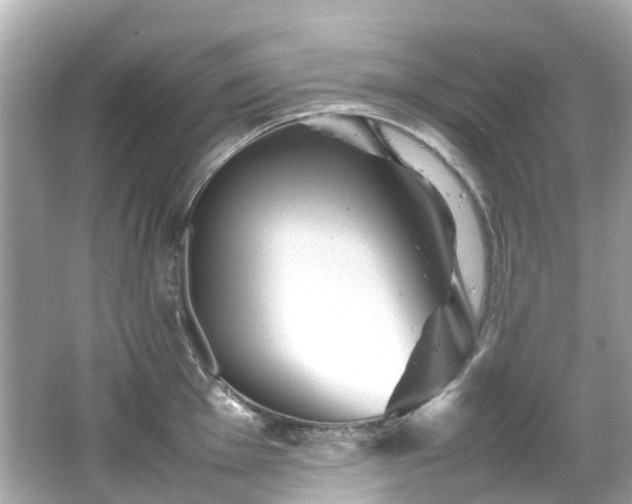 X0000066501001200603201318