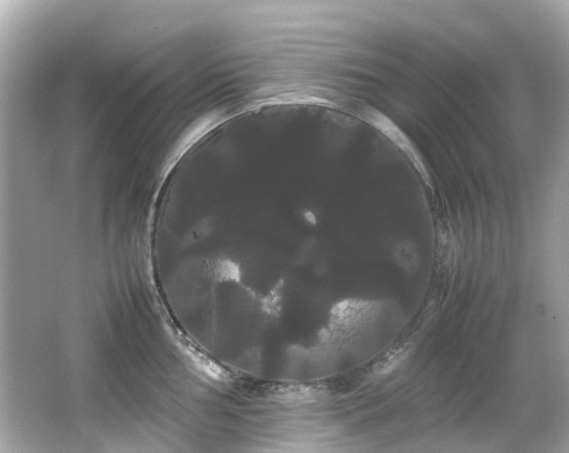 X0000066501002200603201318