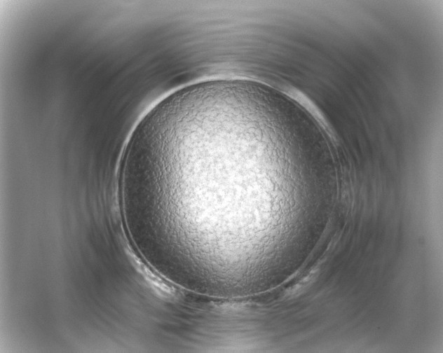 X0000066501004200603201318
