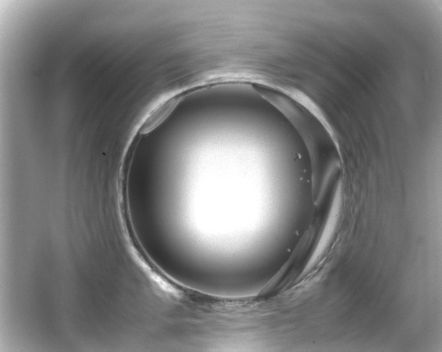 X0000066501005200603201318