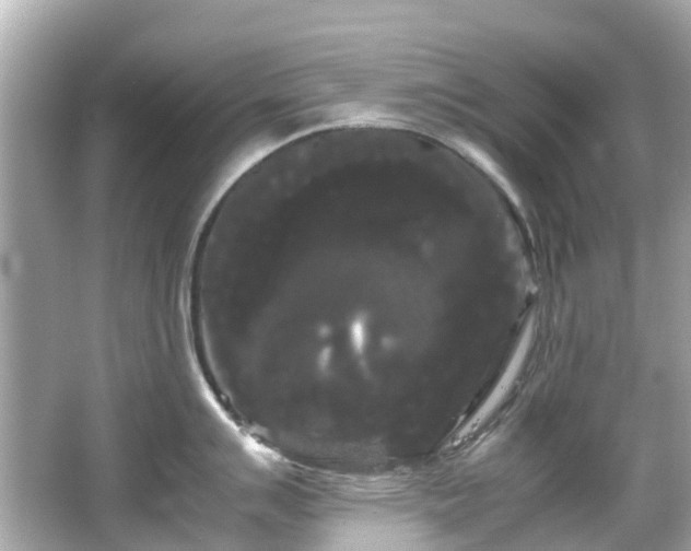 X0000066501007200603201318