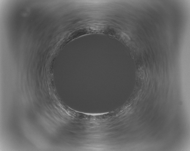 X0000066501009200603201317