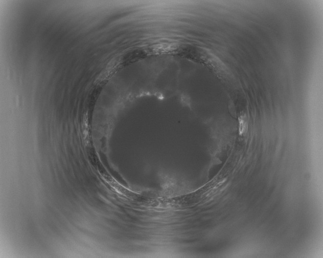 X0000066501011200603201317