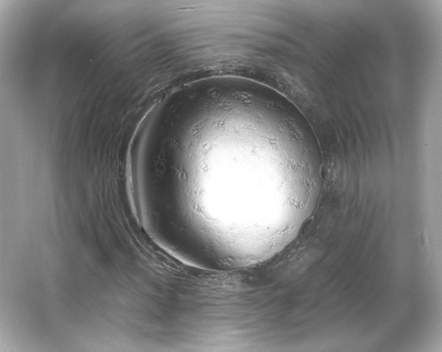 X0000066501012200603201317