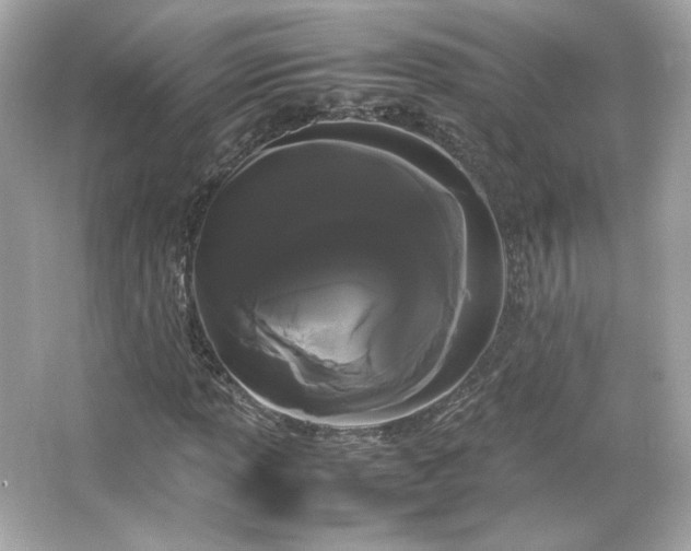 X0000066501013200603201317