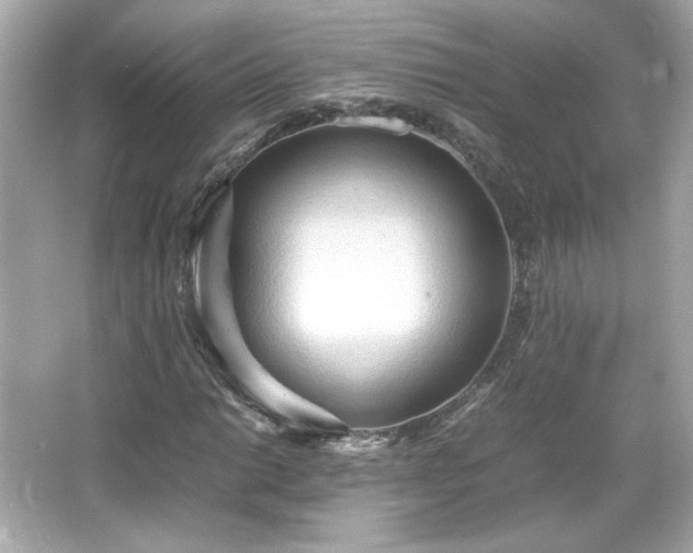 X0000066501014200603201317