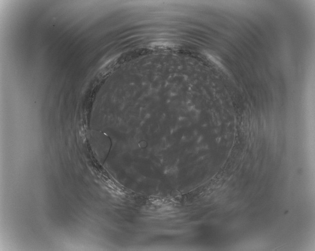 X0000066501015200603201317