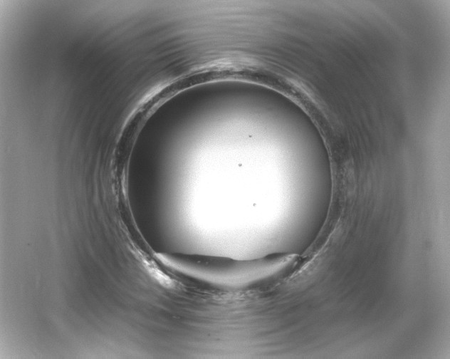 X0000066501018200603201317