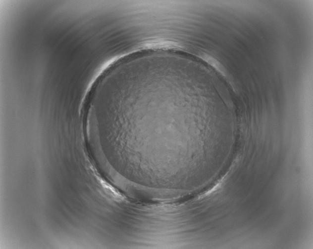 X0000066501022200603201317