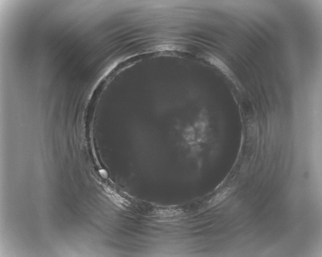 X0000066501023200603201317