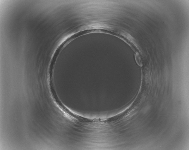 X0000066501024200603201317