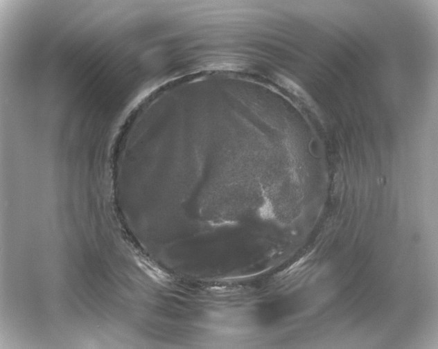 X0000066501027200603201317