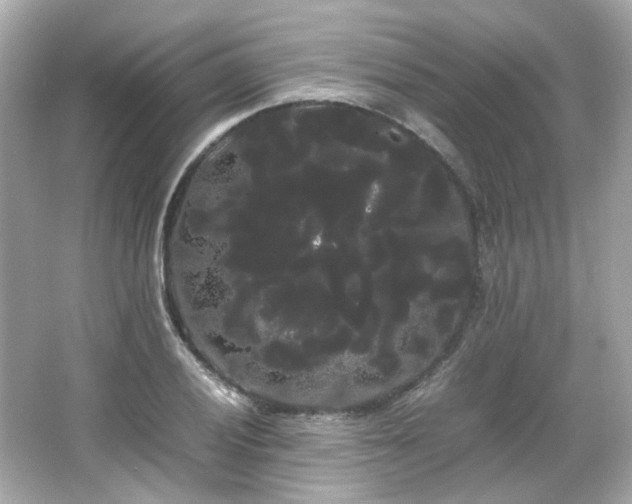 X0000066501028200603201317