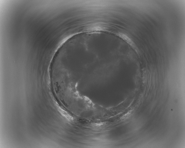 X0000066501031200603201318