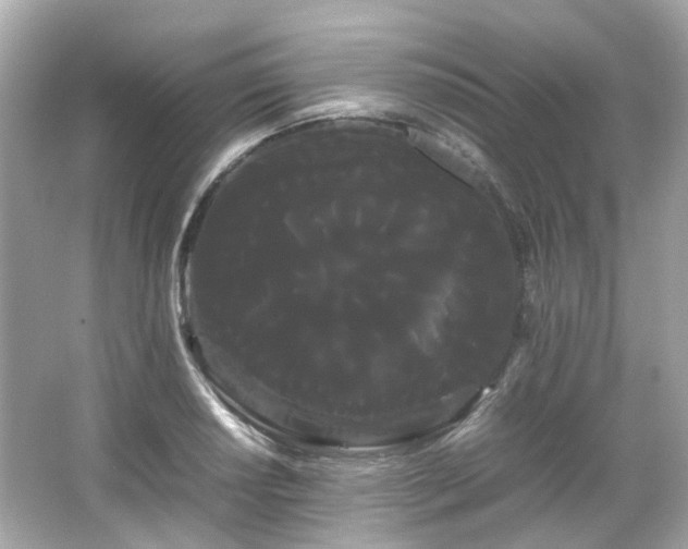X0000066501034200603201318